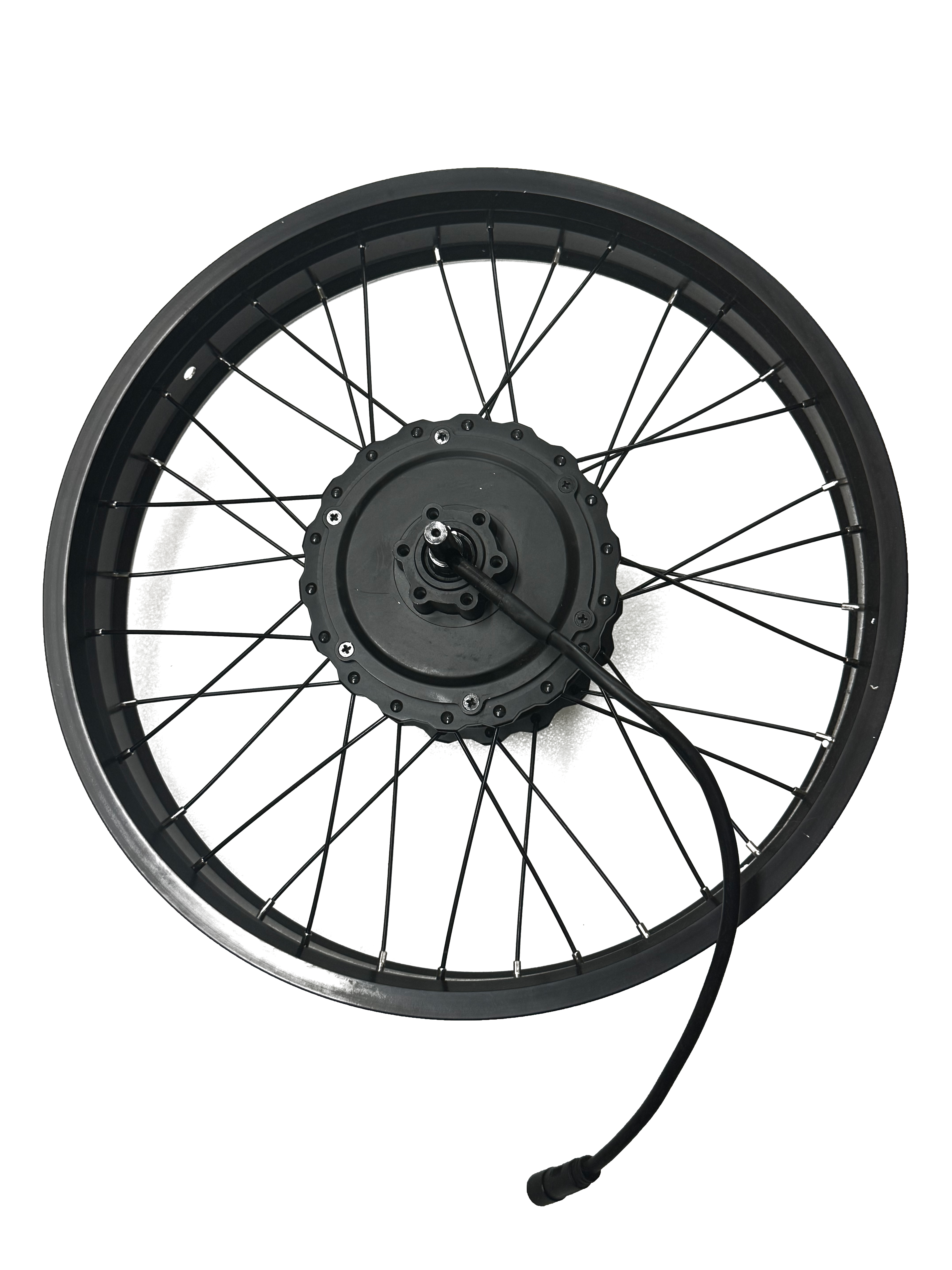 BG10 rear wheel (with motor)