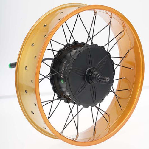 BIGNIU_BGX_Motor-4