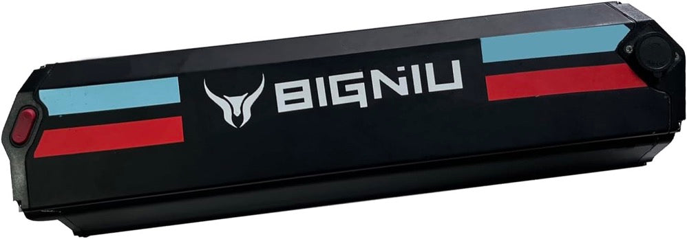 BG10 Backup battery