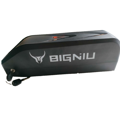 BIGNIU BGS Ebike Batteries