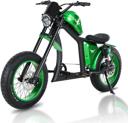 BIGNIU BG-X Electric Bike for Adults, 1500W Brushless Motor 48V/31.5Ah Up to 40 Miles EBike Front/Rear Turn Signal Dual Suspension Ebike With windshield