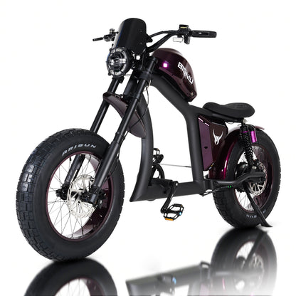 BIGNIU BG-X Electric Bike for Adults, 1500W Brushless Motor 48V/31.5Ah Up to 40 Miles EBike Front/Rear Turn Signal Dual Suspension Ebike With windshield