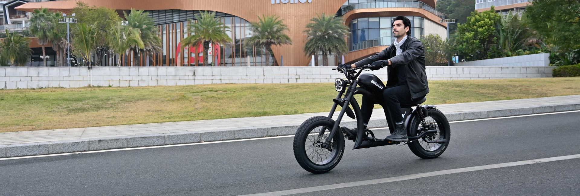 BG-X EBIKE SERIES