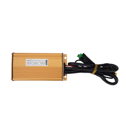 BIGNIU BGX Ebike Motor Controllers