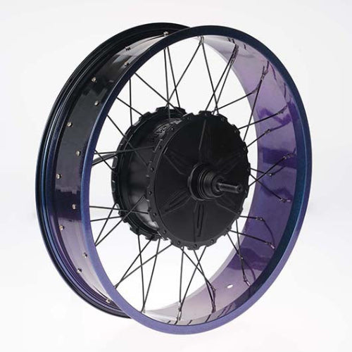 BIGNIU BGX Motor