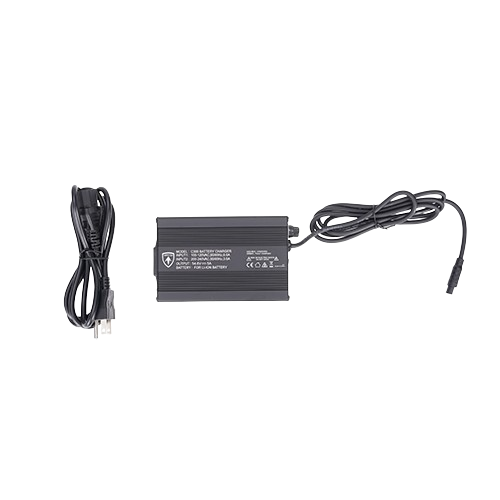 BGX Charger